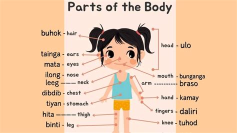 busty meaning in tagalog|The English .